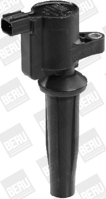 BorgWarner (BERU) Zündspule