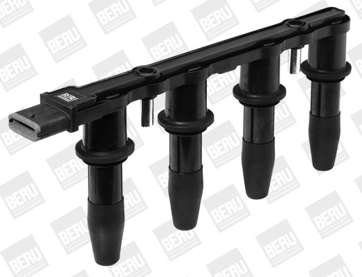 BorgWarner (BERU) Zündspule