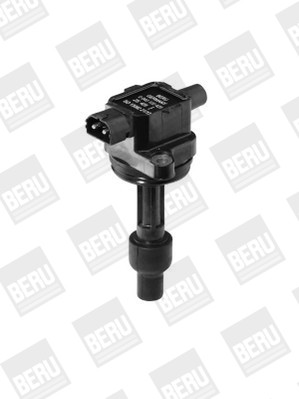 BorgWarner (BERU) Zündspule
