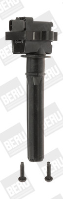 BorgWarner (BERU) Zündspule