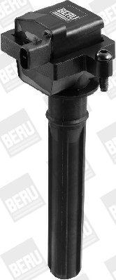 BorgWarner (BERU) Zündspule