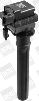 BorgWarner (BERU) Zündspule