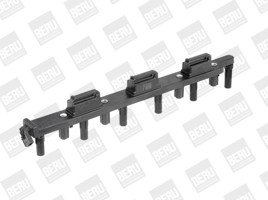 BorgWarner (BERU) Zündspule