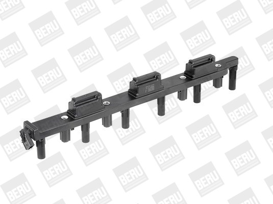 BorgWarner (BERU) Zündspule