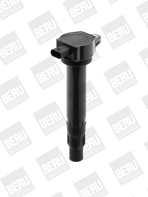 BorgWarner (BERU) Zündspule