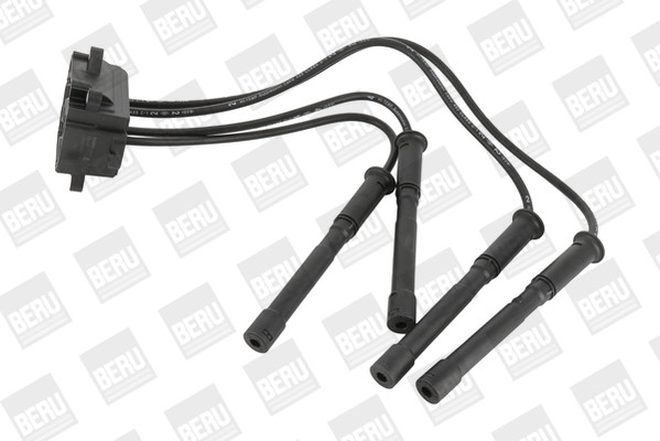 BorgWarner (BERU) Zündspule