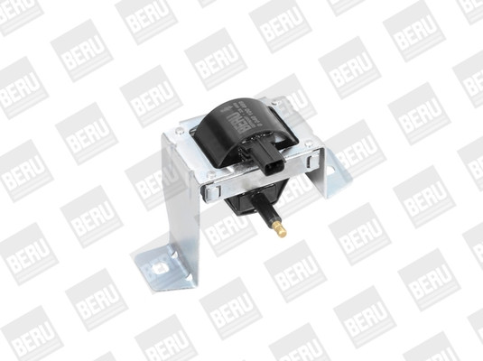 BorgWarner (BERU) Zündspule