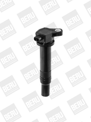 BorgWarner (BERU) Zündspule