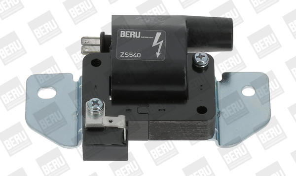 BorgWarner (BERU) Zündspule