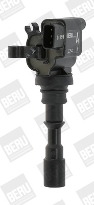 BorgWarner (BERU) Zündspule