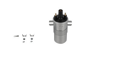 BorgWarner (BERU) Zündspule