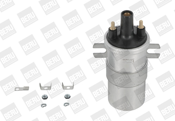 BorgWarner (BERU) Zündspule