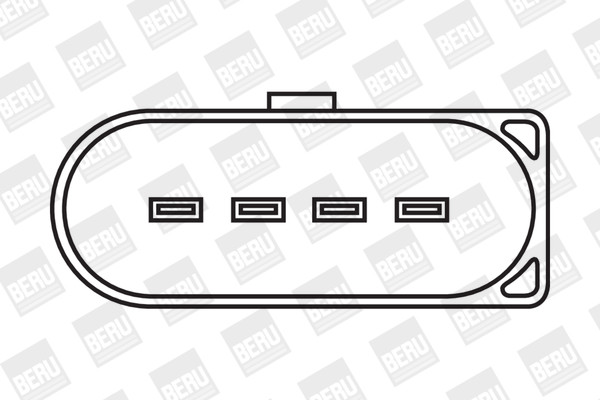 BorgWarner (BERU) Zündspule