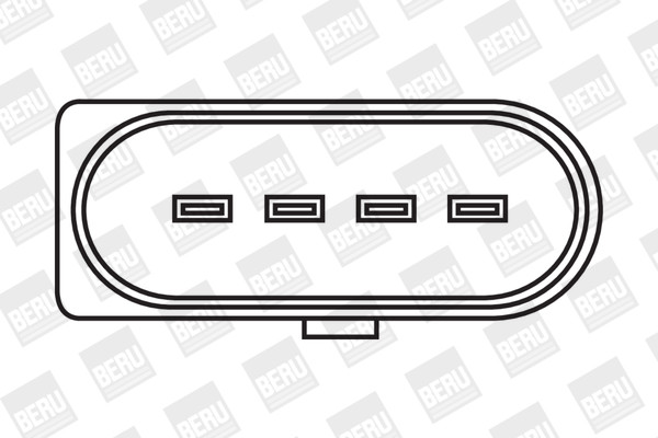 BorgWarner (BERU) Zündspule