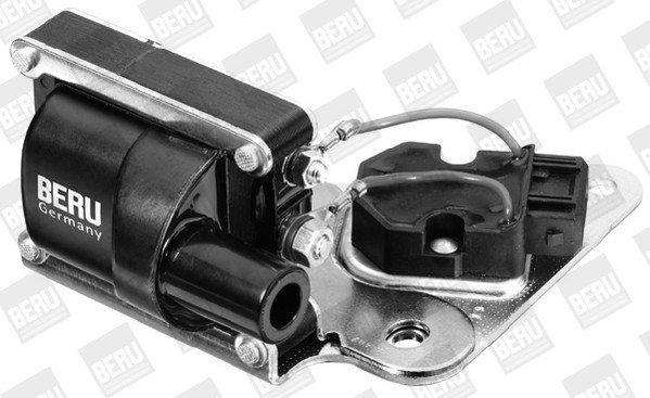 BorgWarner (BERU) Zündspule