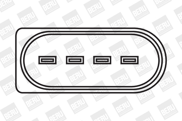 BorgWarner (BERU) Zündspule