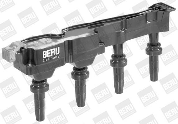 BorgWarner (BERU) Zündspule