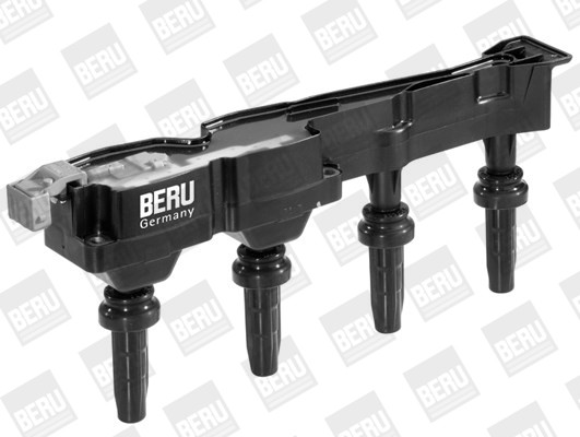 BorgWarner (BERU) Zündspule
