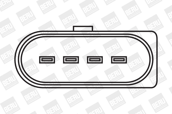 BorgWarner (BERU) Zündspule