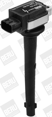 BorgWarner (BERU) Zündspule