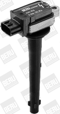 BorgWarner (BERU) Zündspule