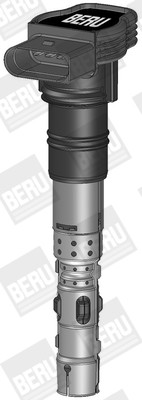 BorgWarner (BERU) Zündspule