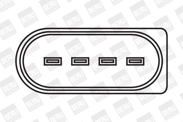 BorgWarner (BERU) Zündspule