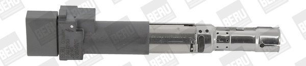 BorgWarner (BERU) Zündspule