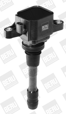 BorgWarner (BERU) Zündspule