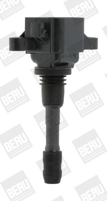 BorgWarner (BERU) Zündspule