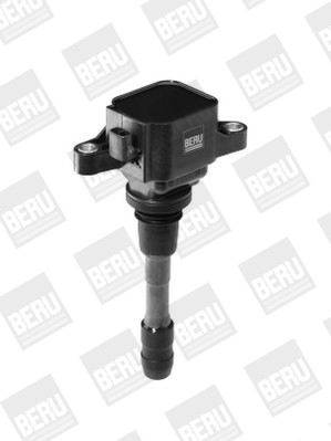 BorgWarner (BERU) Zündspule