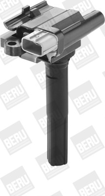 BorgWarner (BERU) Zündspule
