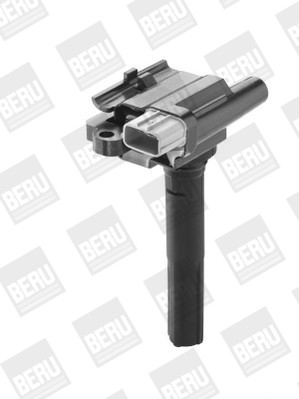 BorgWarner (BERU) Zündspule