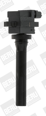 BorgWarner (BERU) Zündspule