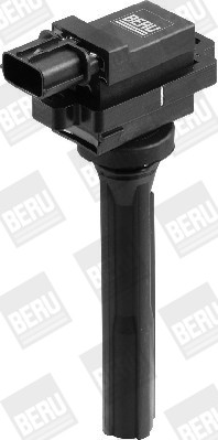 BorgWarner (BERU) Zündspule