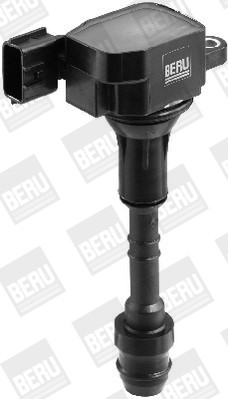 BorgWarner (BERU) Zündspule
