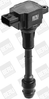BorgWarner (BERU) Zündspule