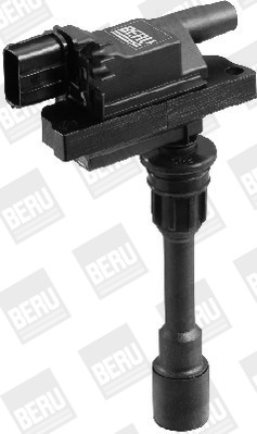 BorgWarner (BERU) Zündspule