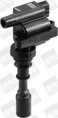 BorgWarner (BERU) Zündspule