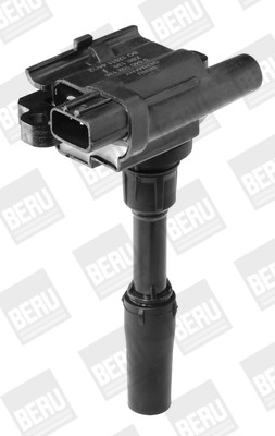 BorgWarner (BERU) Zündspule