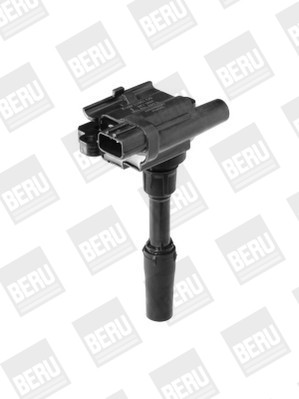 BorgWarner (BERU) Zündspule