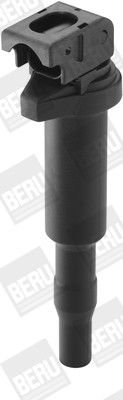 BorgWarner (BERU) Zündspule BorgWarner (BERU) Zündspule