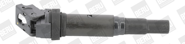 BorgWarner (BERU) Zündspule BorgWarner (BERU) Zündspule