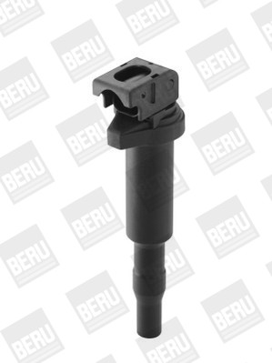 BorgWarner (BERU) Zündspule BorgWarner (BERU) Zündspule