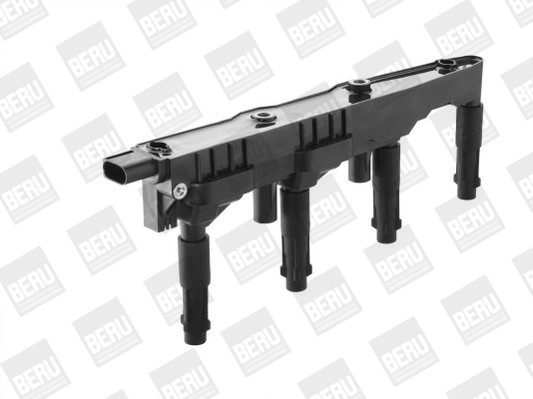 BorgWarner (BERU) Zündspule