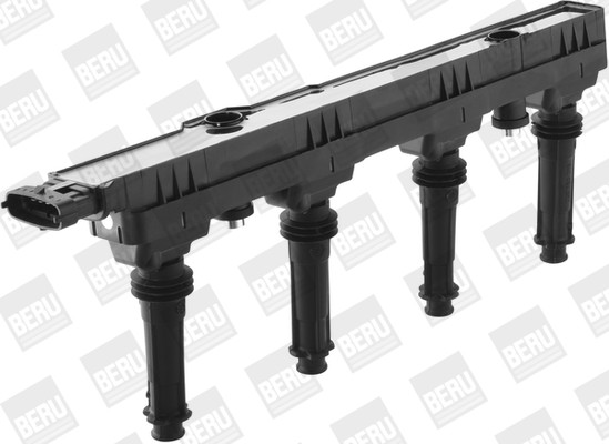 BorgWarner (BERU) Zündspule