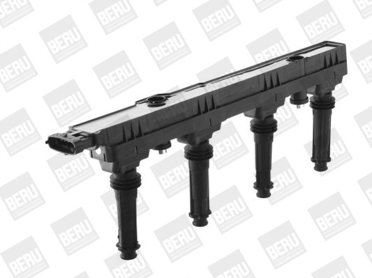 BorgWarner (BERU) Zündspule