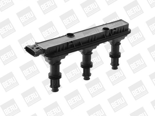 BorgWarner (BERU) Zündspule