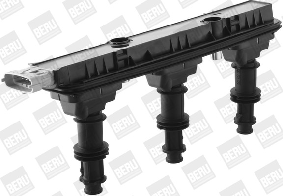 BorgWarner (BERU) Zündspule