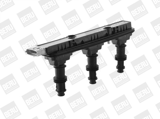 BorgWarner (BERU) Zündspule